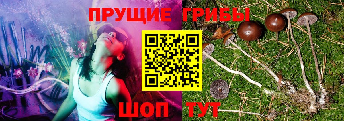 Галлюциногенные грибы прущие грибы  Вход с VPN  Галлюциногенные грибы MAGIC MUSHROOMS  Омск 